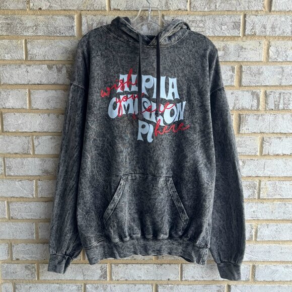 Colortone Long Sleeve "Alpha Omicron Pi" Hooded Gray Sweatshirt Men's Size L - Picture 1 of 9